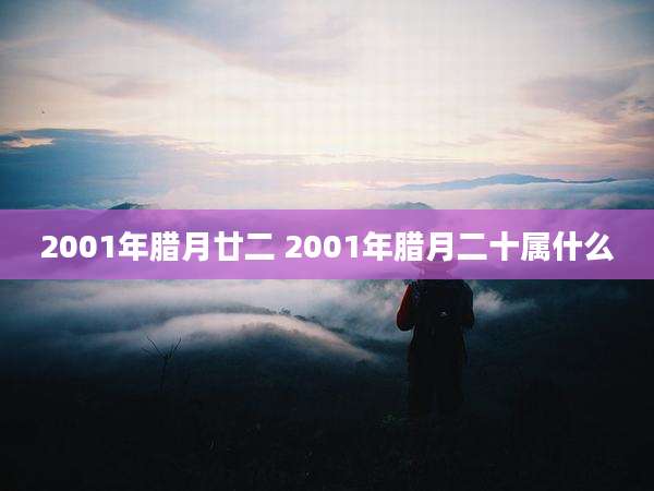2001年腊月廿二 2001年腊月二十属什么