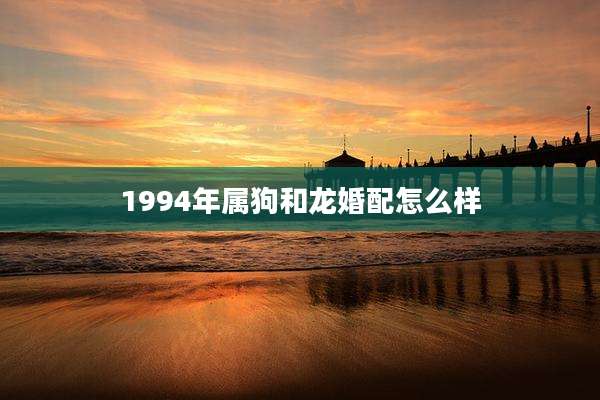 1994年属狗和龙婚配怎么样