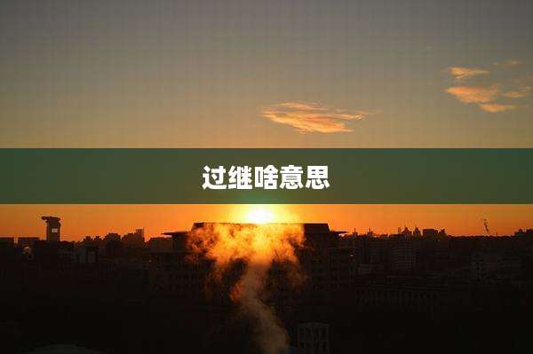 过继啥意思
