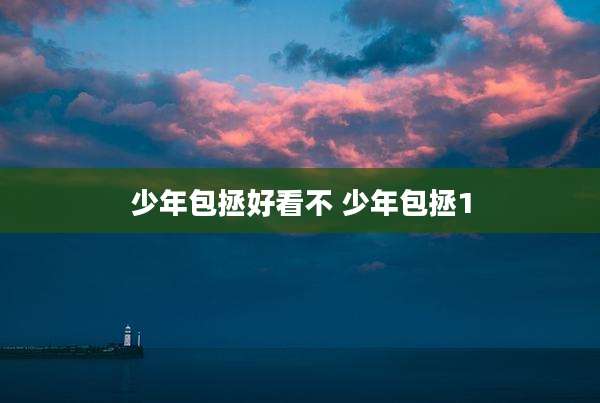 少年包拯好看不 少年包拯1