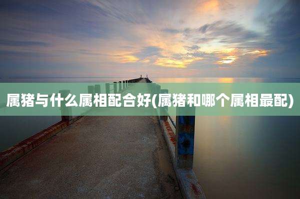 属猪与什么属相配合好(属猪和哪个属相最配)