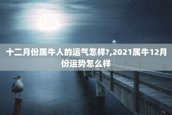 十二月份属牛人的运气怎样?,2021属牛12月份运势怎么样