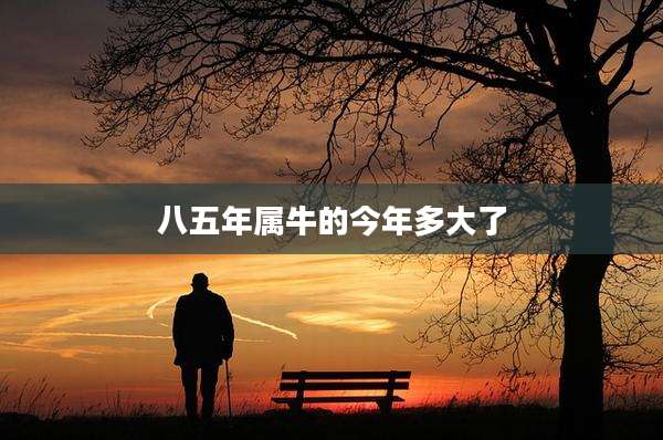 八五年属牛的今年多大了