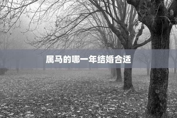 属马的哪一年结婚合适