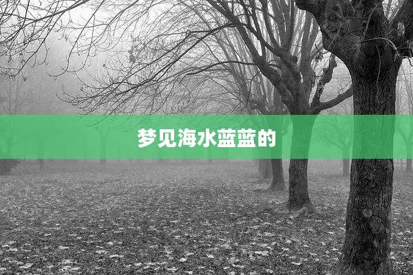 梦见海水蓝蓝的