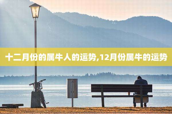 十二月份的属牛人的运势,12月份属牛的运势
