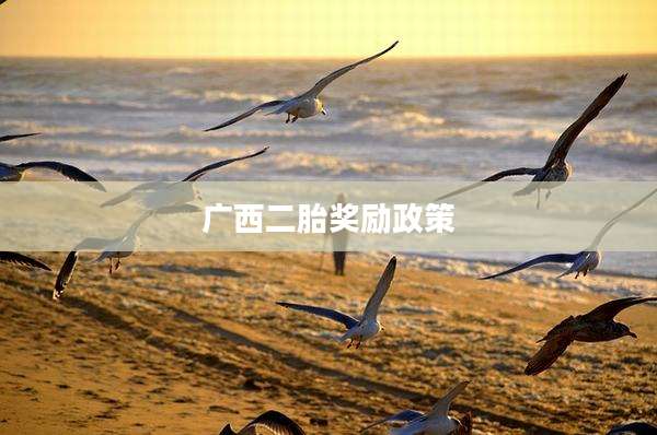 广西二胎奖励政策