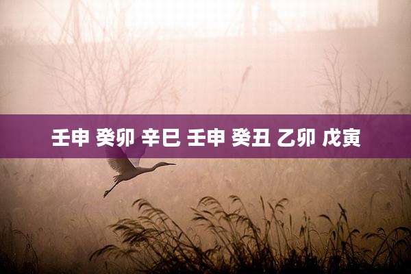壬申 癸卯 辛巳 壬申 癸丑 乙卯 戊寅