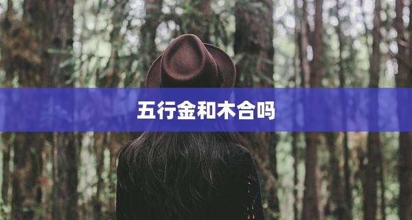五行金和木合吗