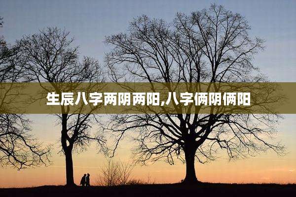 生辰八字两阴两阳,八字俩阴俩阳