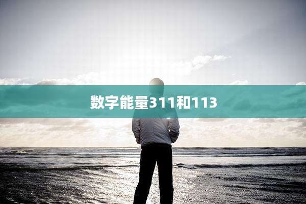 数字能量311和113