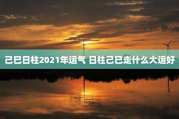 己巳日柱2021年运气 日柱己巳走什么大运好