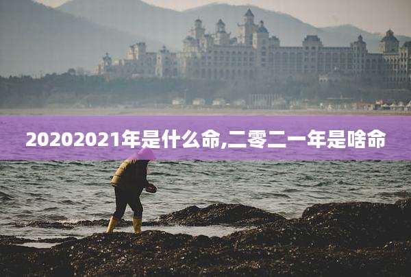 20202021年是什么命,二零二一年是啥命