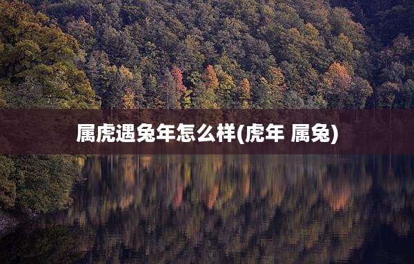 属虎遇兔年怎么样(虎年 属兔)
