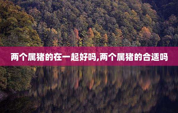 两个属猪的在一起好吗,两个属猪的合适吗