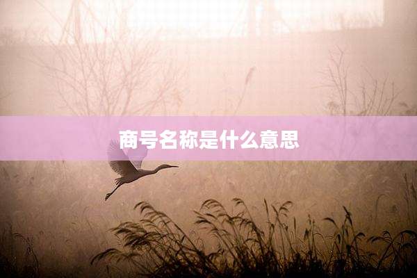 商号名称是什么意思