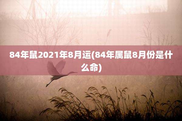 84年鼠2021年8月运(84年属鼠8月份是什么命)