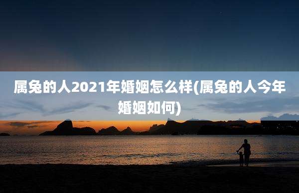 属兔的人2021年婚姻怎么样(属兔的人今年婚姻如何)