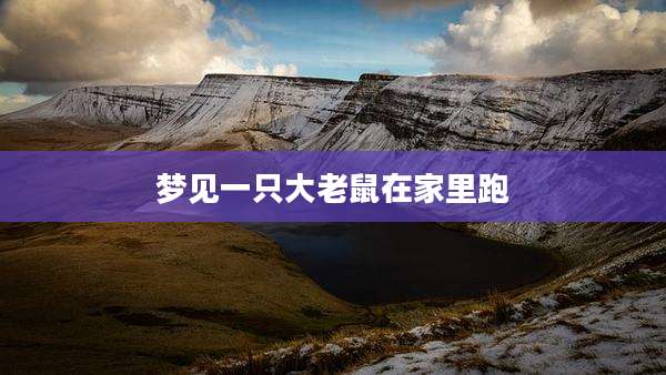 梦见一只大老鼠在家里跑