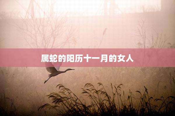 属蛇的阳历十一月的女人