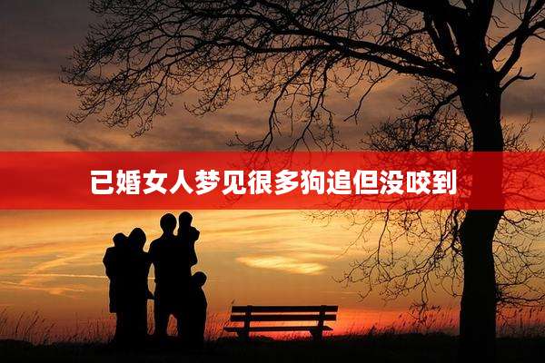 已婚女人梦见很多狗追但没咬到