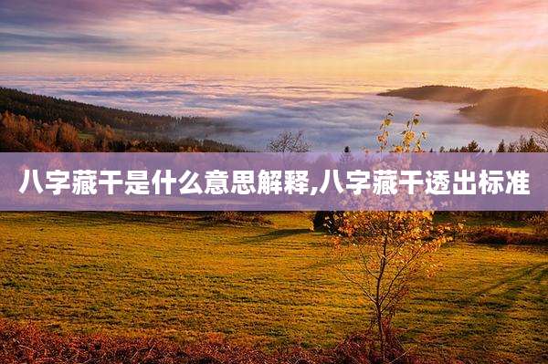 八字藏干是什么意思解释,八字藏干透出标准