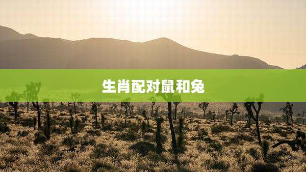 生肖配对鼠和兔