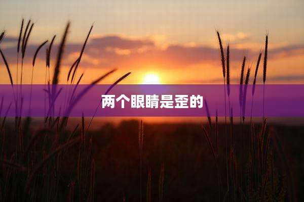 两个眼睛是歪的