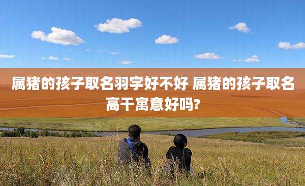 属猪的孩子取名羽字好不好 属猪的孩子取名高干寓意好吗?