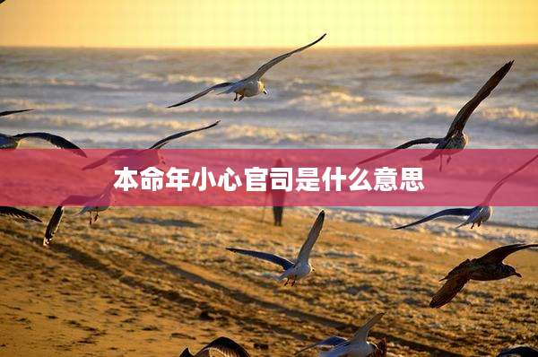 本命年小心官司是什么意思