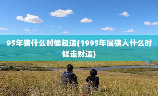95年猪什么时候起运(1995年属猪人什么时候走财运)