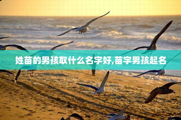 姓苗的男孩取什么名字好,苗字男孩起名