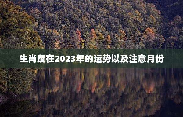 生肖鼠在2023年的运势以及注意月份