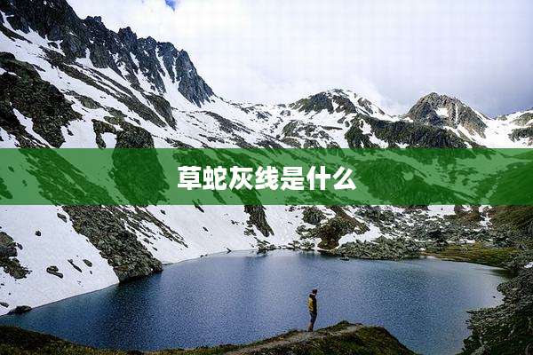 草蛇灰线是什么