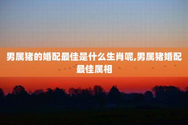 男属猪的婚配最佳是什么生肖呢,男属猪婚配最佳属相