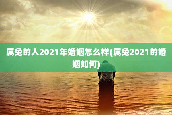 属兔的人2021年婚姻怎么样(属兔2021的婚姻如何)