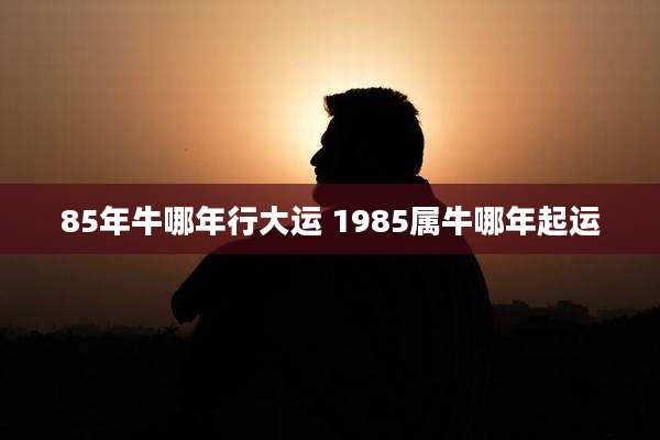 85年牛哪年行大运 1985属牛哪年起运