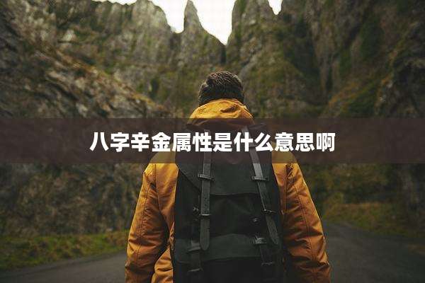 八字辛金属性是什么意思啊