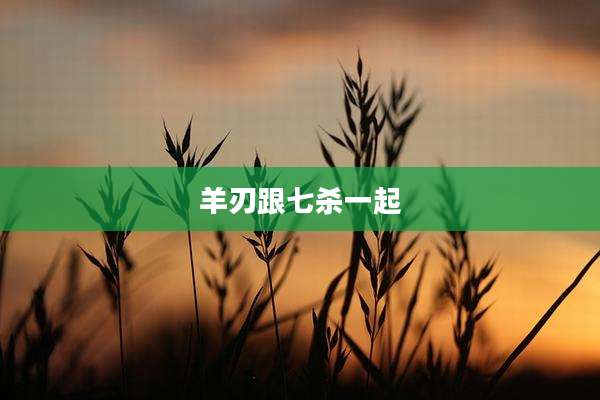 羊刃跟七杀一起