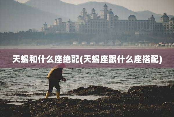 天蝎和什么座绝配(天蝎座跟什么座搭配)