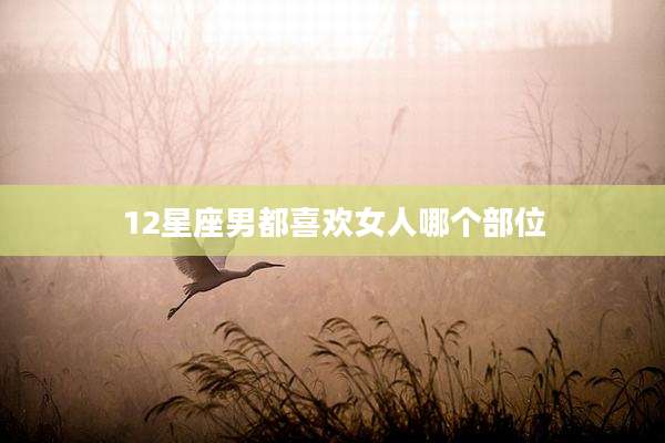 12星座男都喜欢女人哪个部位