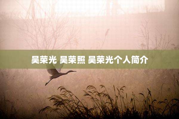 吴荣光 吴荣照 吴荣光个人简介