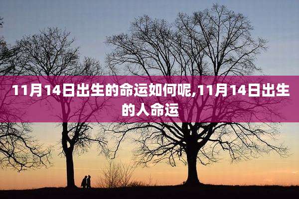11月14日出生的命运如何呢,11月14日出生的人命运