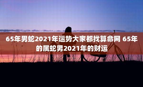 65年男蛇2021年运势大家都找算命网 65年的属蛇男2021年的财运