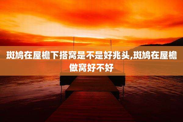 斑鸠在屋檐下搭窝是不是好兆头,斑鸠在屋檐做窝好不好