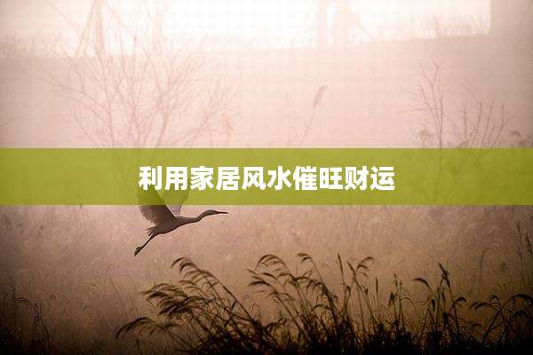 利用家居风水催旺财运