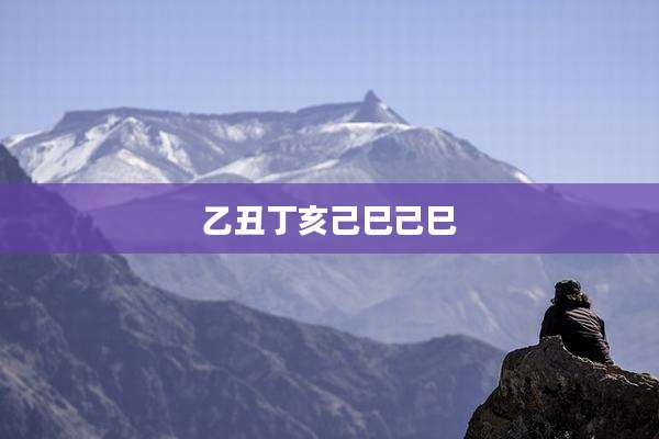 乙丑丁亥己巳己巳