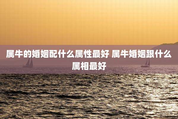 属牛的婚姻配什么属性最好 属牛婚姻跟什么属相最好