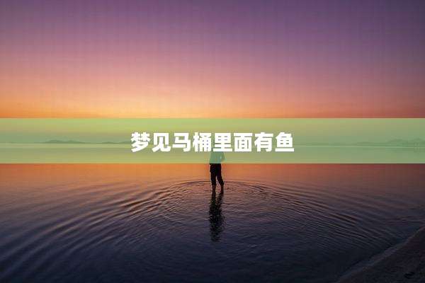 梦见马桶里面有鱼