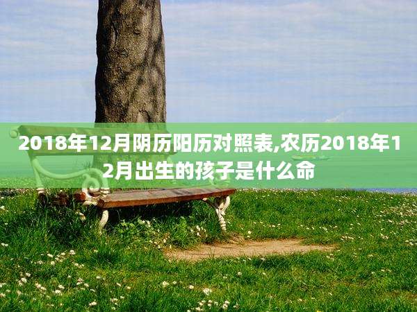 2018年12月阴历阳历对照表,农历2018年12月出生的孩子是什么命